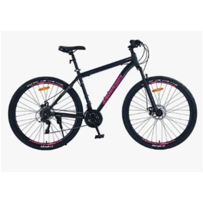 BICICLETA ANDERSON ROD29