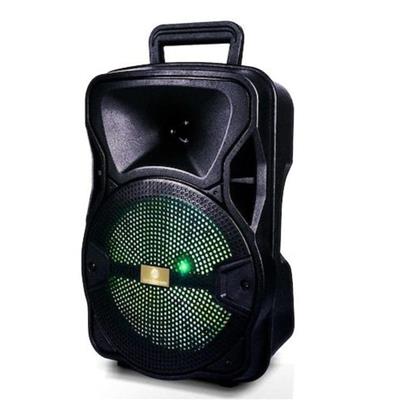 PARLANTE PORTATIL SERIE DORADA 1000W