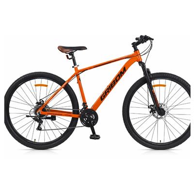 BICICLETA R29 GRIBOM ASPEN