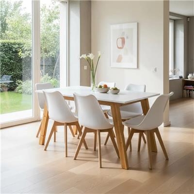 JUEGO DE COMEDOR CON MESA TULIP + 6 SILLAS TOLIX