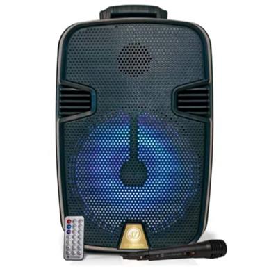 PARLANTE PORTATIL SERIE DORADA 1000W